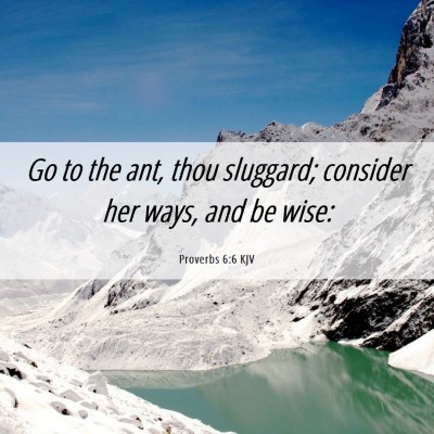 Picture 06 - Proverbs 6:6 KJV - Go to the ant, thou sluggard; consider her ways, - Bible Verse Picture