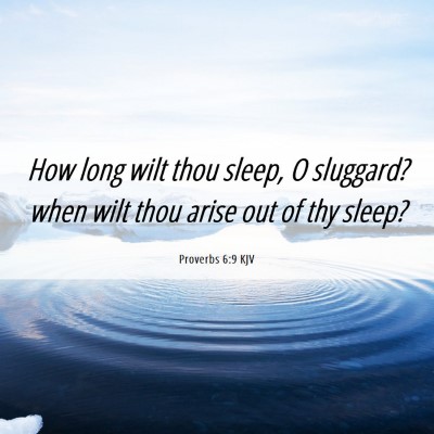 Picture 06 - Proverbs 6:9 KJV - How long wilt thou sleep, O sluggard? when wilt - Bible Verse Picture
