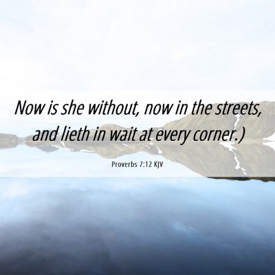 Picture 06 - Proverbs 7:12 KJV - Now is she without, now in the streets, and lieth - Bible Verse Picture