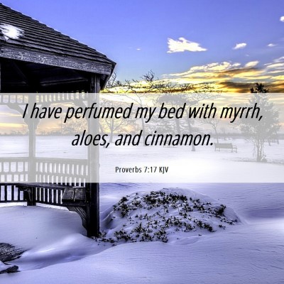 Picture 06 - Proverbs 7:17 KJV - I have perfumed my bed with myrrh, aloes, and - Bible Verse Picture