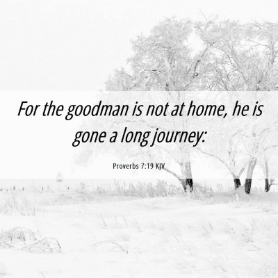 Picture 06 - Proverbs 7:19 KJV - For the goodman is not at home, he is gone a long - Bible Verse Picture