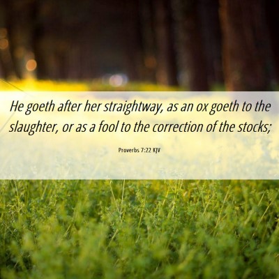 Picture 06 - Proverbs 7:22 KJV - He goeth after her straightway, as an ox goeth to - Bible Verse Picture
