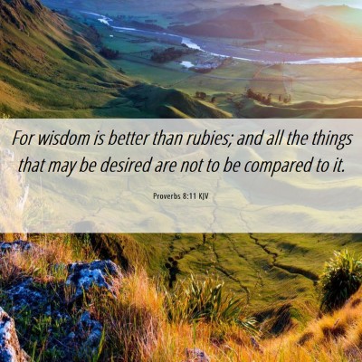 Picture 06 - Proverbs 8:11 KJV - For wisdom is better than rubies; and all the - Bible Verse Picture
