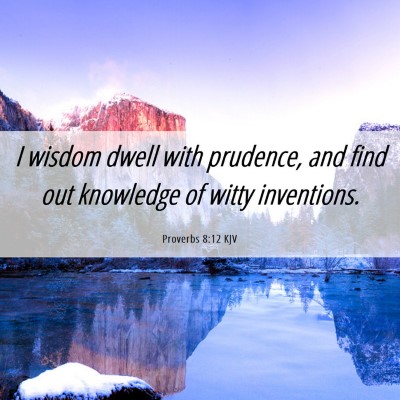 Picture 06 - Proverbs 8:12 KJV - I wisdom dwell with prudence, and find out - Bible Verse Picture