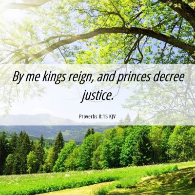 Picture 06 - Proverbs 8:15 KJV - By me kings reign, and princes decree - Bible Verse Picture