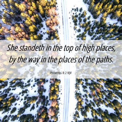 Picture 06 - Proverbs 8:2 KJV - She standeth in the top of high places, by the - Bible Verse Picture