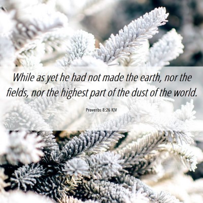 Picture 06 - Proverbs 8:26 KJV - While as yet he had not made the earth, nor the - Bible Verse Picture