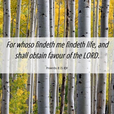 Picture 06 - Proverbs 8:35 KJV - For whoso findeth me findeth life, and shall - Bible Verse Picture