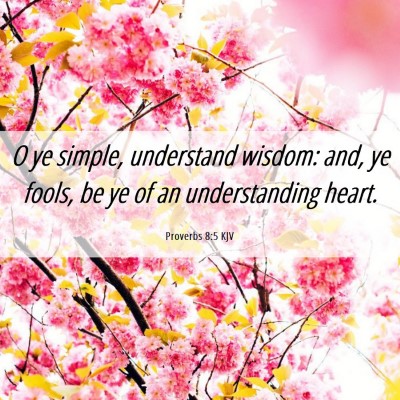 Picture 06 - Proverbs 8:5 KJV - O ye simple, understand wisdom: and, ye fools, be - Bible Verse Picture