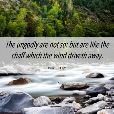 Picture 06 - Psalms 1:4 KJV - The ungodly are not so: but are like the chaff - Bible Verse Picture