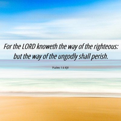 Picture 06 - Psalms 1:6 KJV - For the LORD knoweth the way of the righteous: - Bible Verse Picture