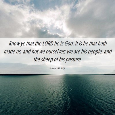 Picture 06 - Psalms 100:3 KJV - Know ye that the LORD he is God: it is he that - Bible Verse Picture