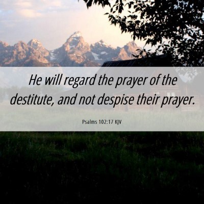 Picture 06 - Psalms 102:17 KJV - He will regard the prayer of the destitute, and - Bible Verse Picture