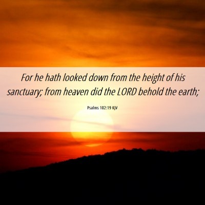 Picture 06 - Psalms 102:19 KJV - For he hath looked down from the height of his - Bible Verse Picture