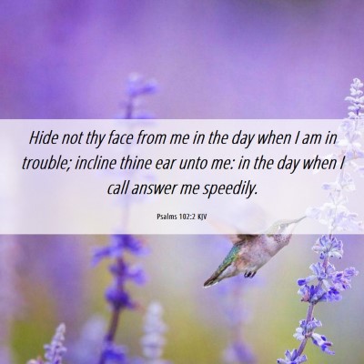 Picture 06 - Psalms 102:2 KJV - Hide not thy face from me in the day when I am in - Bible Verse Picture