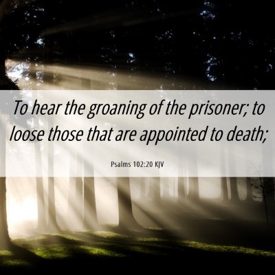 Picture 06 - Psalms 102:20 KJV - To hear the groaning of the prisoner; to loose - Bible Verse Picture