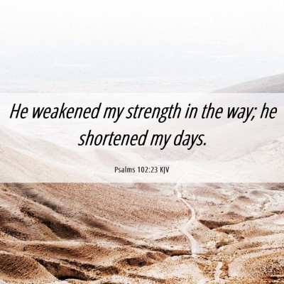 Picture 06 - Psalms 102:23 KJV - He weakened my strength in the way; he shortened - Bible Verse Picture