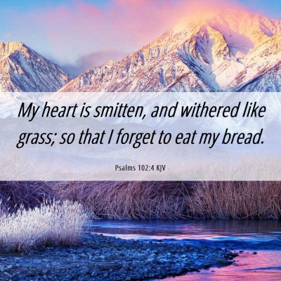 Picture 06 - Psalms 102:4 KJV - My heart is smitten, and withered like grass; so - Bible Verse Picture