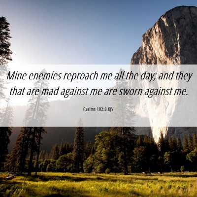 Picture 06 - Psalms 102:8 KJV - Mine enemies reproach me all the day; and they - Bible Verse Picture