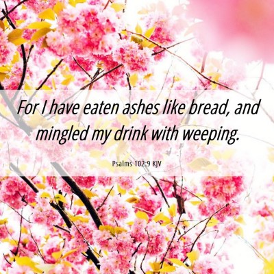 Picture 06 - Psalms 102:9 KJV - For I have eaten ashes like bread, and mingled my - Bible Verse Picture