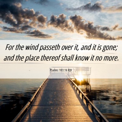 Picture 06 - Psalms 103:16 KJV - For the wind passeth over it, and it is gone; and - Bible Verse Picture