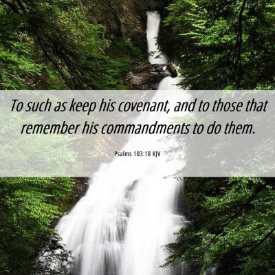 Picture 06 - Psalms 103:18 KJV - To such as keep his covenant, and to those that - Bible Verse Picture