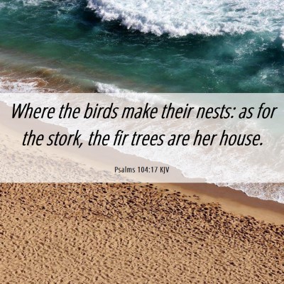 Picture 06 - Psalms 104:17 KJV - Where the birds make their nests: as for the - Bible Verse Picture