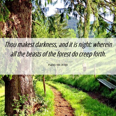 Picture 06 - Psalms 104:20 KJV - Thou makest darkness, and it is night: wherein - Bible Verse Picture