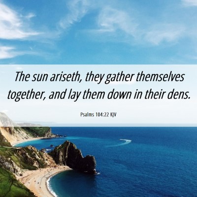 Picture 06 - Psalms 104:22 KJV - The sun ariseth, they gather themselves together, - Bible Verse Picture
