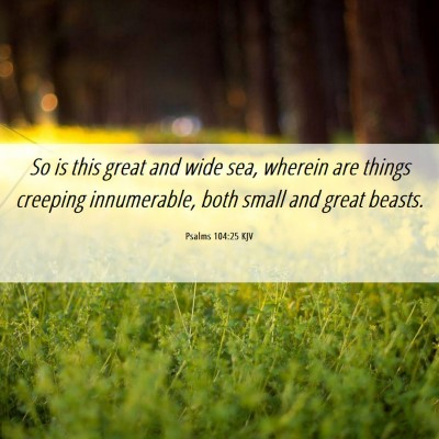 Picture 06 - Psalms 104:25 KJV - So is this great and wide sea, wherein are things - Bible Verse Picture
