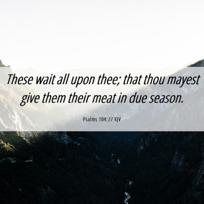 Picture 06 - Psalms 104:27 KJV - These wait all upon thee; that thou mayest give - Bible Verse Picture