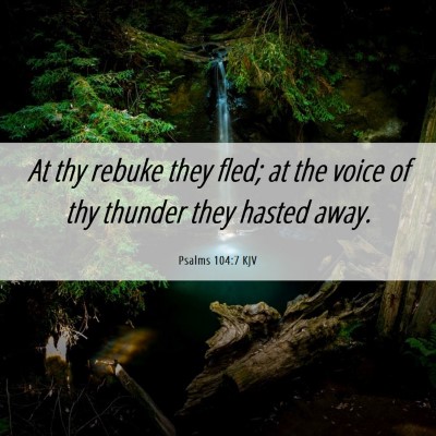Picture 06 - Psalms 104:7 KJV - At thy rebuke they fled; at the voice of thy - Bible Verse Picture