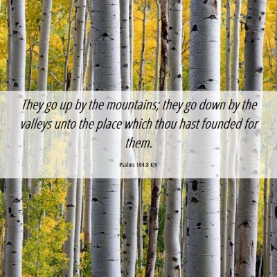 Picture 06 - Psalms 104:8 KJV - They go up by the mountains; they go down by the - Bible Verse Picture