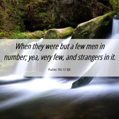 Picture 06 - Psalms 105:12 KJV - When they were but a few men in number; yea, very - Bible Verse Picture