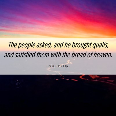 Picture 06 - Psalms 105:40 KJV - The people asked, and he brought quails, and - Bible Verse Picture
