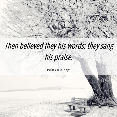 Picture 06 - Psalms 106:12 KJV - Then believed they his words; they sang his - Bible Verse Picture