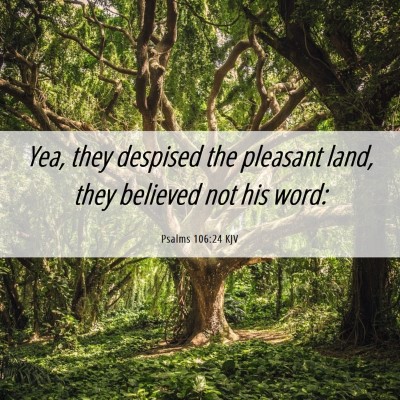 Picture 06 - Psalms 106:24 KJV - Yea, they despised the pleasant land, they - Bible Verse Picture