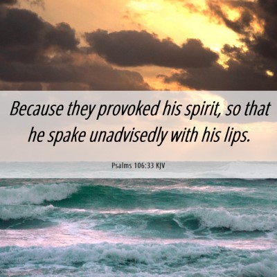 Picture 06 - Psalms 106:33 KJV - Because they provoked his spirit, so that he - Bible Verse Picture