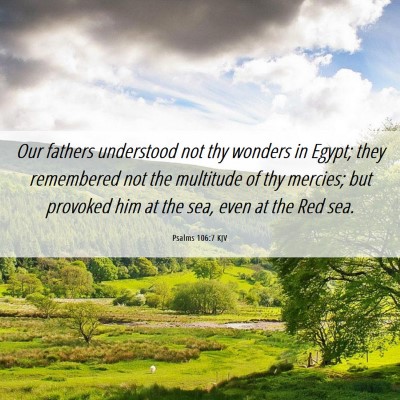 Picture 06 - Psalms 106:7 KJV - Our fathers understood not thy wonders in Egypt; - Bible Verse Picture