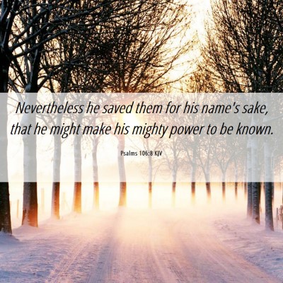 Picture 06 - Psalms 106:8 KJV - Nevertheless he saved them for his name's sake, - Bible Verse Picture