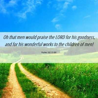 Picture 06 - Psalms 107:15 KJV - Oh that men would praise the LORD for his - Bible Verse Picture