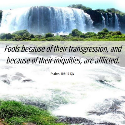 Picture 06 - Psalms 107:17 KJV - Fools because of their transgression, and because - Bible Verse Picture