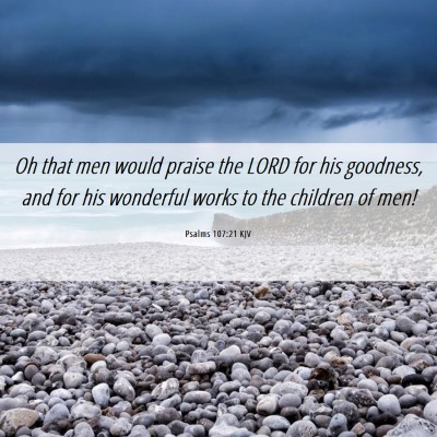 Picture 06 - Psalms 107:21 KJV - Oh that men would praise the LORD for his - Bible Verse Picture