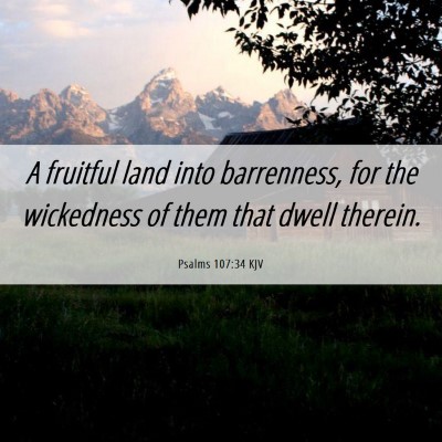 Picture 06 - Psalms 107:34 KJV - A fruitful land into barrenness, for the - Bible Verse Picture