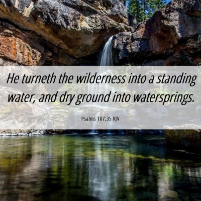 Picture 06 - Psalms 107:35 KJV - He turneth the wilderness into a standing water, - Bible Verse Picture