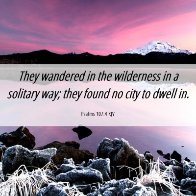 Picture 06 - Psalms 107:4 KJV - They wandered in the wilderness in a solitary - Bible Verse Picture