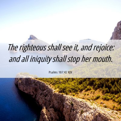 Picture 06 - Psalms 107:42 KJV - The righteous shall see it, and rejoice: and all - Bible Verse Picture