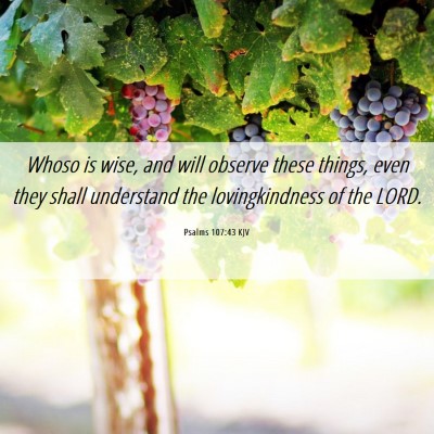 Picture 06 - Psalms 107:43 KJV - Whoso is wise, and will observe these things, - Bible Verse Picture