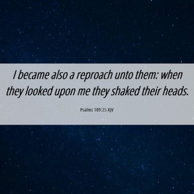Picture 06 - Psalms 109:25 KJV - I became also a reproach unto them: when they - Bible Verse Picture