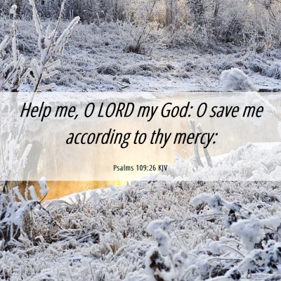 Picture 06 - Psalms 109:26 KJV - Help me, O LORD my God: O save me according to - Bible Verse Picture